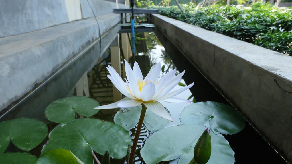 Lullaby Boutique Resort Thap Sakae Exteriér fotografie
